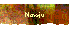 Nssj